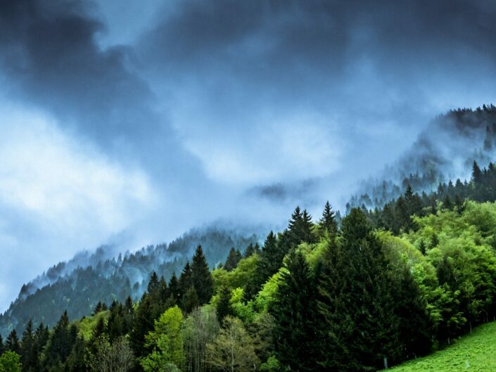 Visit Green Wood